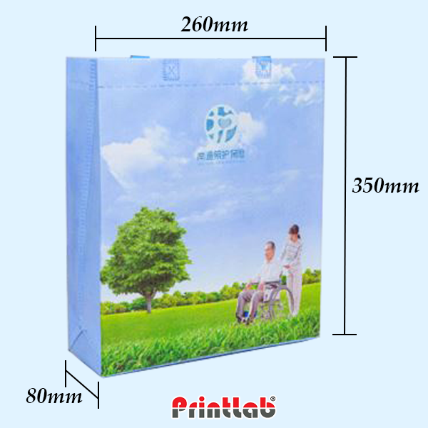 Non Woven Beg Full Color Offset