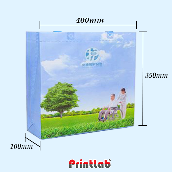 Non Woven Beg Full Color Offset