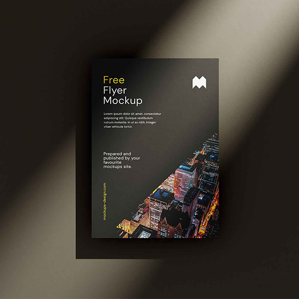 Flyer Brochure Digital Print Portrai
