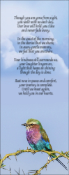 Bookmark 1 - Lilac-breasted Roller