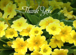 Acknowledgement Card - 2 - Yellow Flowers - Landscape