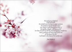 Acknowledgement Card - 3 - Blossom - Landscape