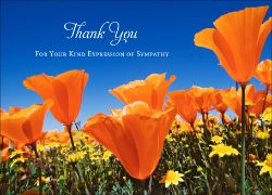 Acknowledgement Card - 4 - Poppies - Landscape