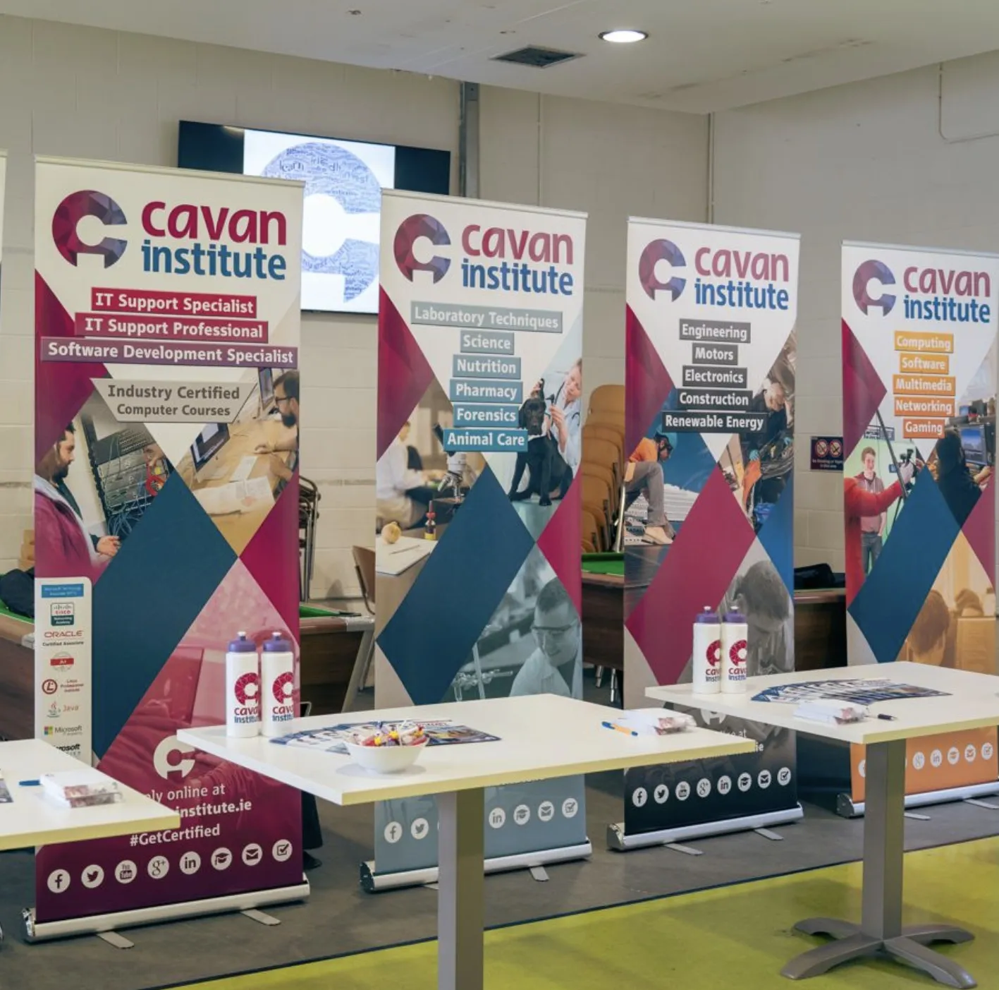 Cavan_Institute_Cat_Image_1790014517219.jpg
