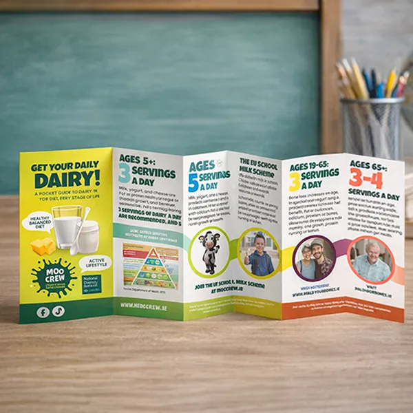 Colourful printed informational leaflet with infographic panels