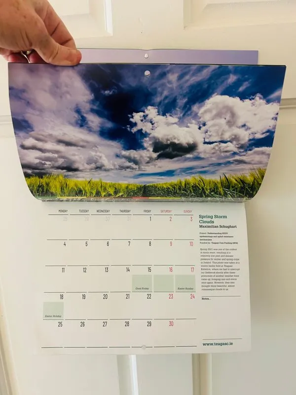 Wall calendar with a landscape photo hanging on a door - Print Ready