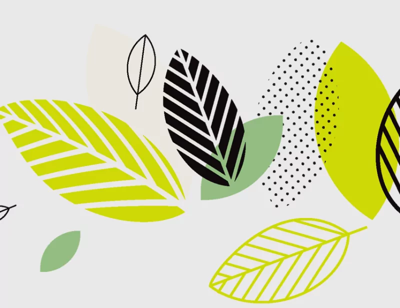 Environmental illustration