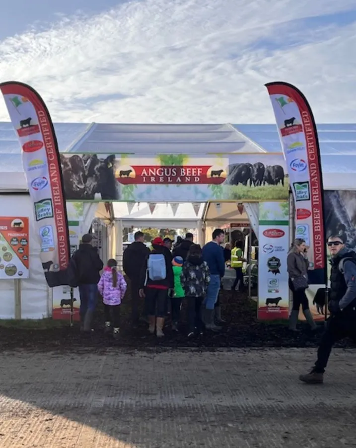 Angus Beef 5m feather flags at the National Ploughing Championship 2025 - Print Ready