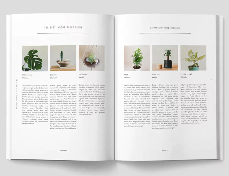 Professional magazine layout design with images and text