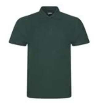 Bottle Green 