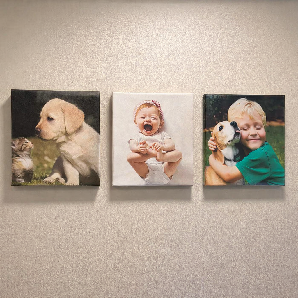 Canvases 6