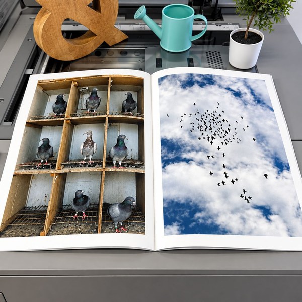 Saddle Stitched Booklet 4