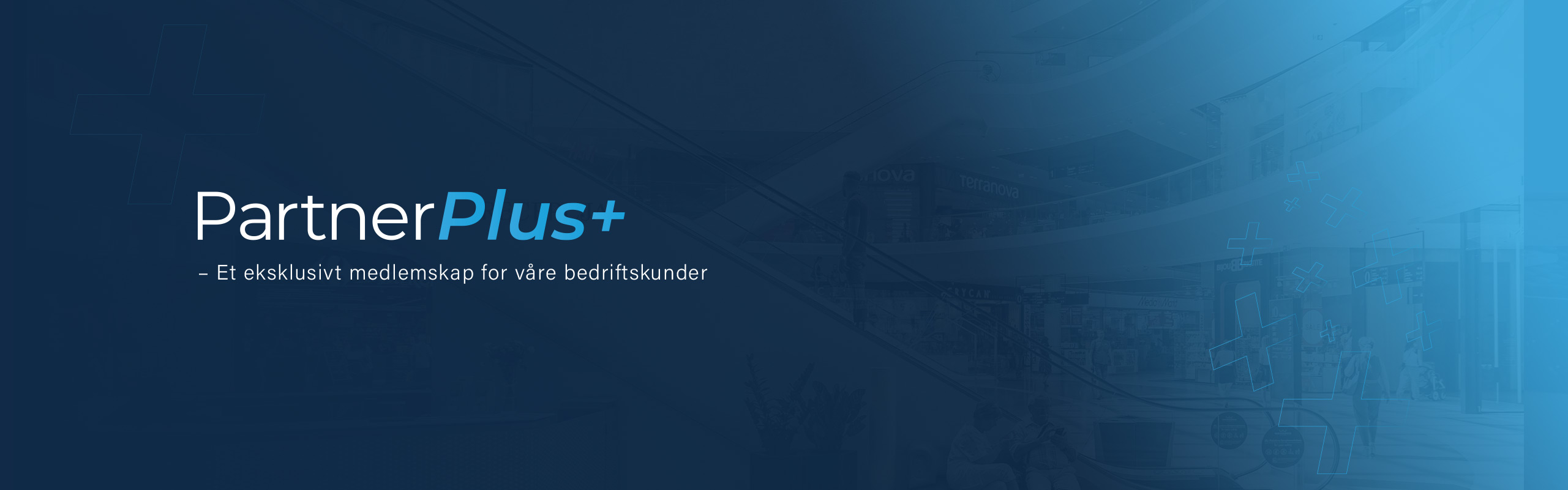 PartnerPlus Hjemmeside