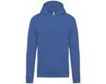 Sweat Capuche Enfant 17