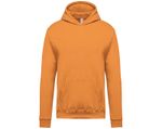 Sweat Capuche Enfant 19
