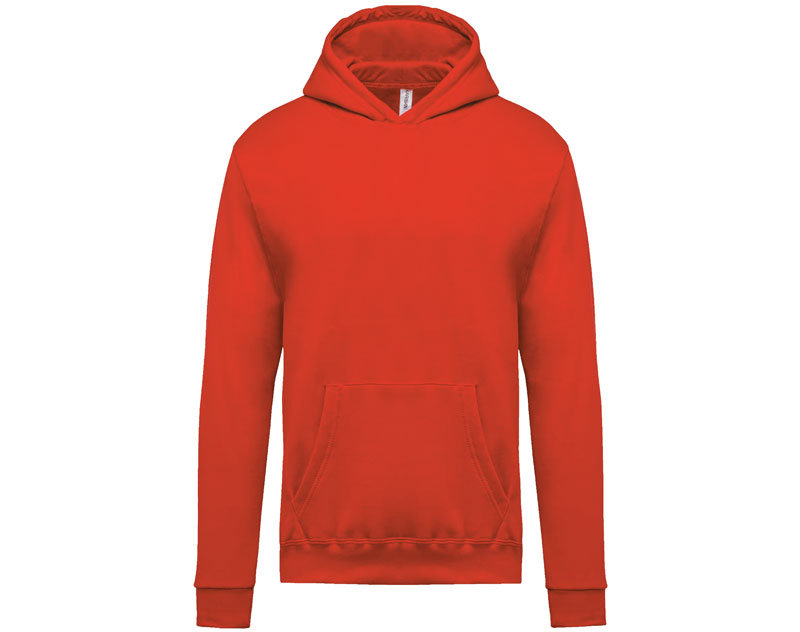 Sweat Capuche Enfant 21