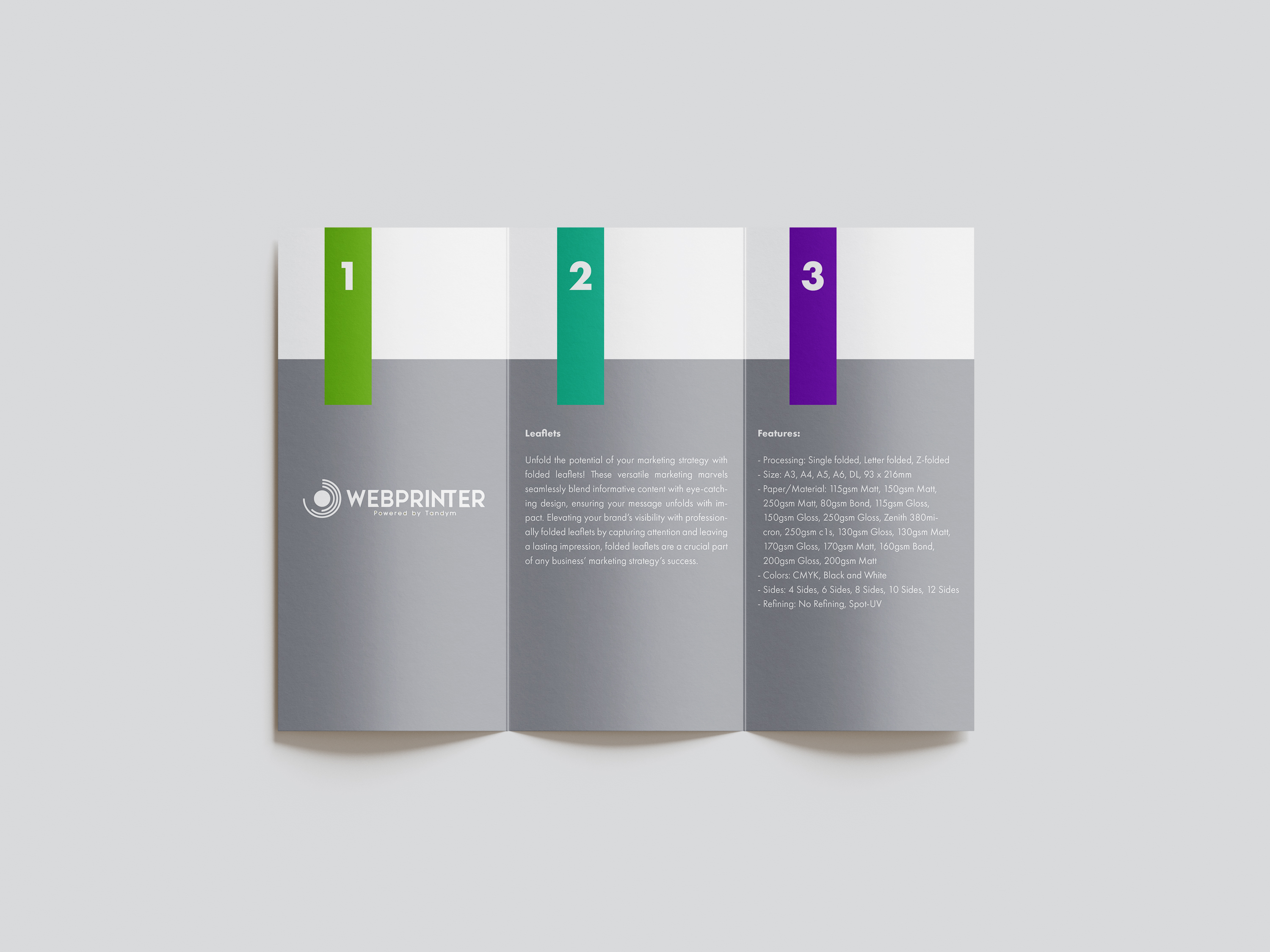 Brochure_Roll_Fold_1774871567286.jpg