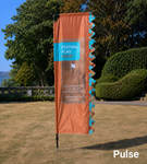 Pulse
