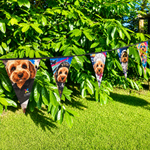 Bunting - Never Tear 2